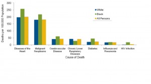 Age-adjusted Death Rates, Selected Causes, by Race, 2006